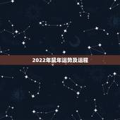 2022年鼠年运势及运程，鼠年运势2022运势详解
