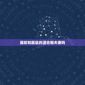 属蛇和属鼠的适合做夫妻吗，属蛇和属鼠的人在一起工作好吗