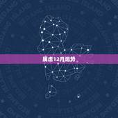 属虎12月运势，1950年属虎的今年11.12月运势