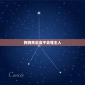 狗狗死后会不会怪主人，狗狗被抛弃后，会不会责怪主人？