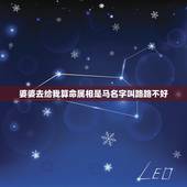 婆婆去给我算命属相是马名字叫路路不好，未来婆婆给我和男友算命