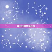 城五行属性是什么，关于 “诚”“城” 的五行属