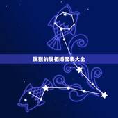 属猴的属相婚配表大全，1992年属猴的最佳配偶