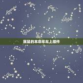 属鼠的本命年车上摆件，72年生属鼠人是什么命？车内挂件适合哪种