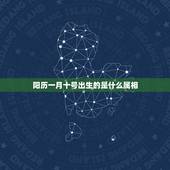 阳历一月十号出生的是什么属相，阳历2002年1月10号出生，属相是什么