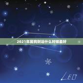 2021年属狗财运什么时候最好，属狗人2021年运势运程每月运程