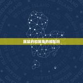 属鼠的和属兔的相配吗，属兔和属鼠相克吗