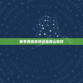 新手养绵羊好还是养山羊好，山羊为什么比绵羊贵