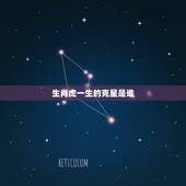 生肖虎一生的克星是谁，虎和什么属相相冲
