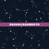 是老虎的和小老虎的婚配好不好，属相虎与虎相配吗？