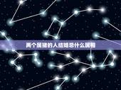 两个属猪的人结婚忌什么属相，男属猪的和女属猪的属相可以相配吗