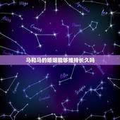 马和马的婚姻能够维持长久吗，属马和属马的结婚好不好？