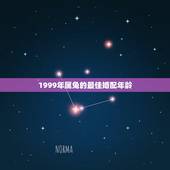 1999年属兔的最佳婚配年龄，1999年兔男的最佳婚姻配对是