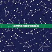 属虎的男孩最佳婚配属相，属虎的男孩与什么属相的女孩婚配最好？