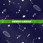 龙属相和什么属相合财，属龙的与什么属相有财