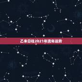 乙未日柱2021年流年运势，2021八字流年运势分析