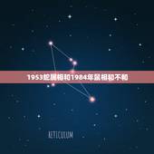 1953蛇属相和1984年鼠相和不和，1953年属蛇和1959年属猪的