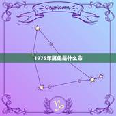 1975年属兔是什么命，属兔的五大贵人