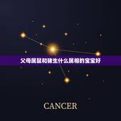 父母属鼠和猪生什么属相的宝宝好，母亲属鼠父亲属猪要什么属相的孩子好