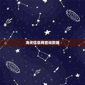 海关信息网查询数据，如何查看海关数据？