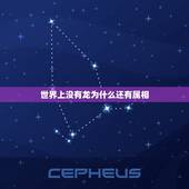 世界上没有龙为什么还有属相，十二生肖最多的动物是什么？