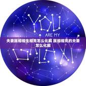 夫妻属相相生相克怎么化解 属相相克的夫妻怎么化解