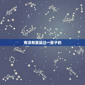 有没有属鼠过一辈子的，1984属鼠男和1987兔女