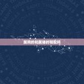 属狗的和属猪的相配吗，属狗男和属猪女相配吗