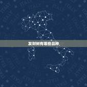 发财树有哪些品种，发财树分哪几个品种？