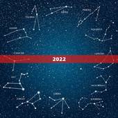 2022 年的女羊是什么命，2003属羊多大结婚好