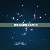一窝里最小的狗是不是不好，世界上最聪明的狗排名