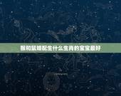 猴和鼠婚配生什么生肖的宝宝最好，老公属猴老婆属鼠孩子生什么属相好