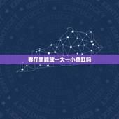 客厅里能放一大一小鱼缸吗，家里可以同时摆放2个鱼缸吗？有没有什么风水忌