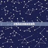 乌龟死后灵魂会在家吗，如何使已经过世的乌龟的灵魂寄宿到自己身体里