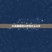65年属蛇的56岁有什么大灾，逢9的年份必有大灾