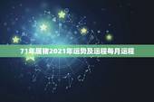 71年属猪2021年运势及运程每月运程，1971年属猪男2021年每月