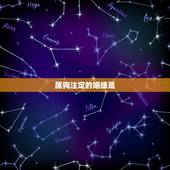 属狗注定的姻缘是，周易八字免费测算