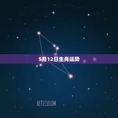 5月12日生肖运势，想请各位大师帮忙算算：男，1985年5月12日（农