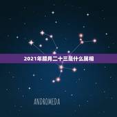 2021年腊月二十三是什么属相，属相年龄对照表2021