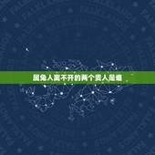 属兔人离不开的两个贵人是谁，兔的贵人肖是什么生肖