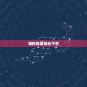 如何看属相合不合，十二属相看婚姻是否相配
