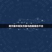 男方属牛和女方属马的属相合不合，属牛的和属马的合不合