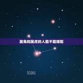 属兔和属虎的人能不能婚配，属虎的女和属兔男相配吗