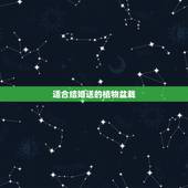 适合结婚送的植物盆栽，乔迁之喜送什么盆栽好？