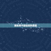 属蛇男不回信息的原因，属蛇男人喜欢什么样的女人
