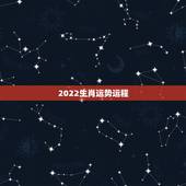 2022生肖运势运程 猪属相今年运势