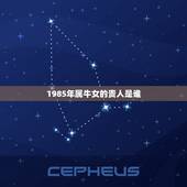 1985年属牛女的贵人是谁，属牛的生肖，贵人是谁