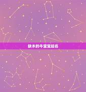 缺木的牛宝宝起名，男宝宝缺木火名字大全集