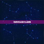 马的对头是什么动物，鳌是什么动物