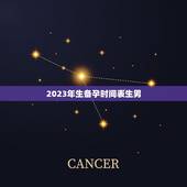 2023年生备孕时间表生男(科学调控生男生女的方法)